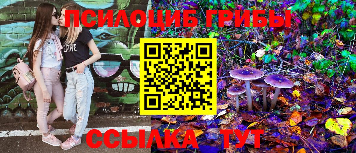 Щёлково  Галлюциногенные грибы Magic Shrooms  Вход с VPN  Псилоцибиновые грибы Psilocybe 